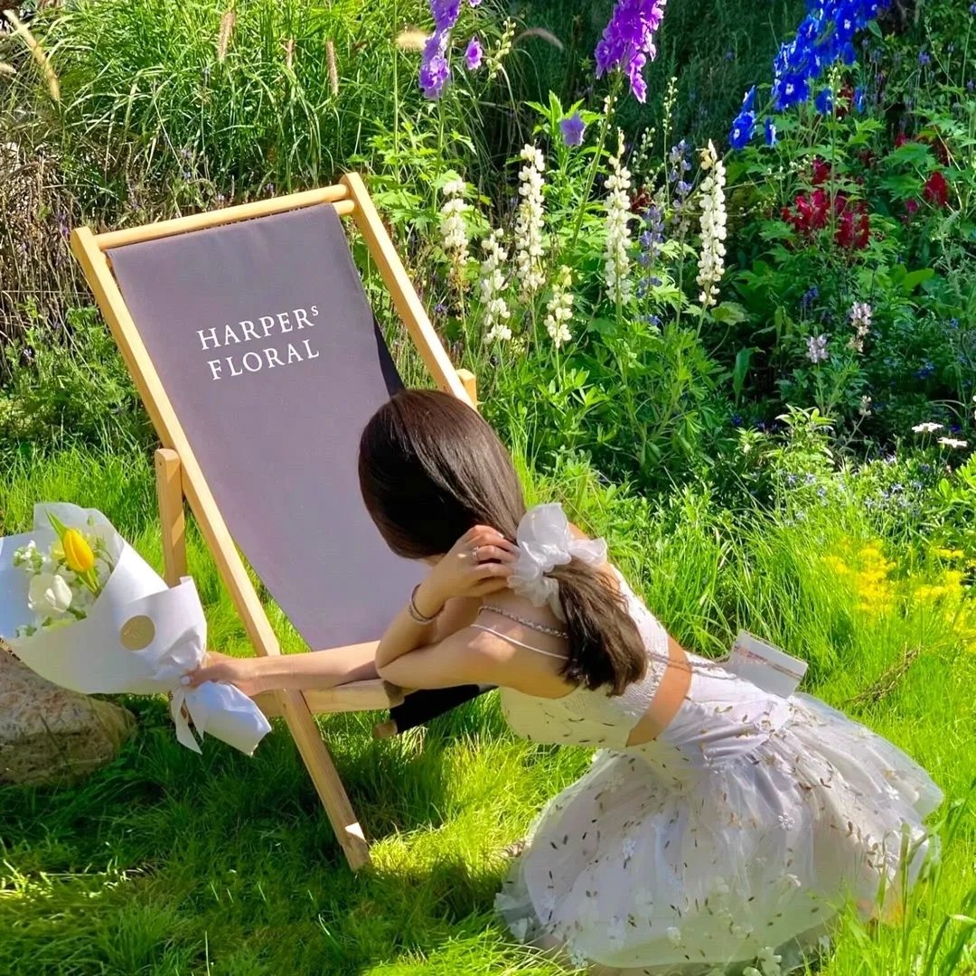 捡到被退婚大小姐的我，教会她做坏坏的事